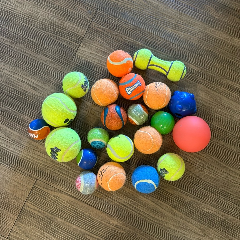 Assorted dog balls 22 pieces